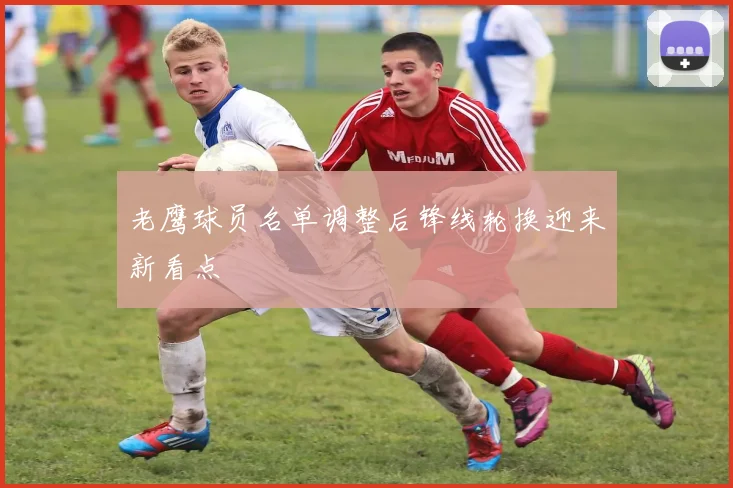 老鹰球员名单调整后锋线轮换迎来新看点